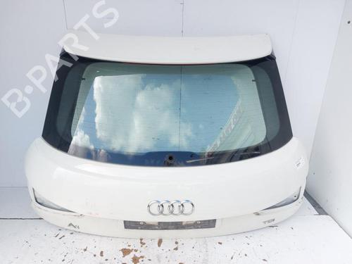 Used Tailgate AUDI A1 (8X1, 8XK) 1.6 TDI (105 hp) 28312020