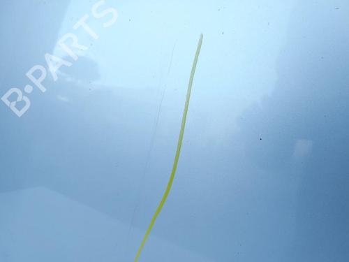 Panser VW CADDY III MPV (2KB, 2KJ, 2CB, 2CJ) 1.9 TDI | BP30802776C1 