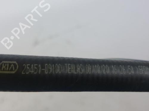 Pipe KIA SPORTAGE IV (QL, QLE) 1.6 CRDi | BP20502520M125 