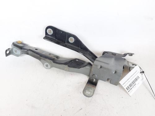 Used Hinge/Door check strap RENAULT CLIO IV (BH_) 1.5 dCi 90 (90 hp) 23416832