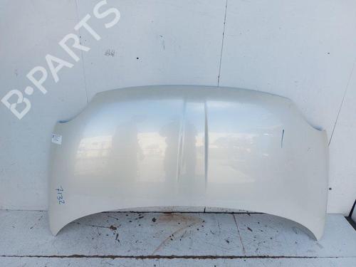 hood-fiat-500-312_-2007-33840304 main image