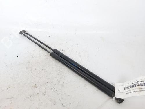 Used Tailgate lift support NISSAN QASHQAI / QASHQAI +2 I (J10, NJ10, JJ10E) 1.5 dCi (103 hp) 18304622