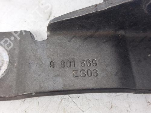 Hinge/Door check strap MINI MINI COUNTRYMAN (R60) Cooper D | BP15164700C146 