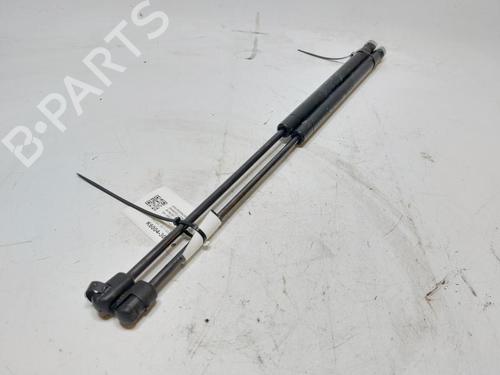 Gassdemper Bakluke LANCIA YPSILON (312_) 1.3 D Multijet (312.YXE1A, 312.YXU1A) | BP30802539C138