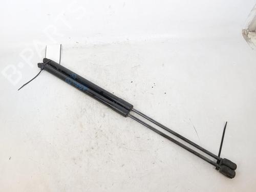 Tailgate lift support FORD FIESTA VII (HJ, HF) 1.5 TDCi | BP18089489C138