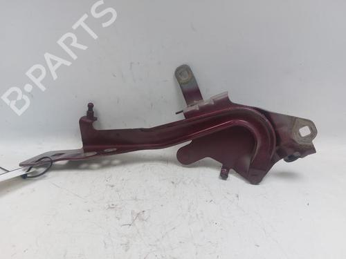 Used Hinge/Door check strap RENAULT SCÉNIC III (JZ0/1_) 1.6 dCi (JZ00, JZ12) (130 hp) 29526038