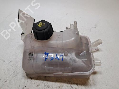 Ekpansionstank Ekpansionstank RENAULT MEGANE III Grandtour (KZ0/1) 1.5 dCi (KZ09, KZ0D, KZ1G, KZ29, KZ14, KZ1W, KZ10, KZ1F,... (110 hp) 34418177 34418177