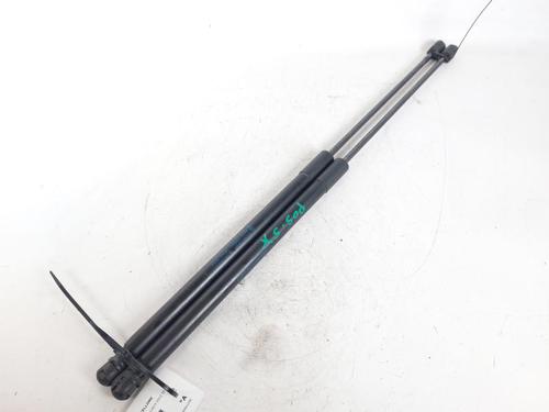 Used Tailgate lift support FORD FOCUS III 1.6 TDCi (115 hp) 25433916