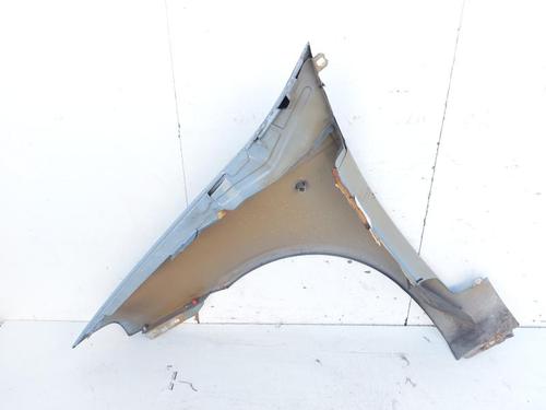 Błotnik przedni prawy FIAT PUNTO (188_) 1.3 JTD 16V | BP30505648C42