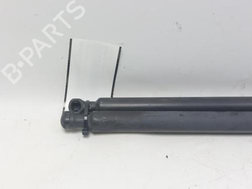 Tailgate lift support RENAULT SCÉNIC III (JZ0/1_) 1.6 dCi (JZ00, JZ12) | BP29523062C138 