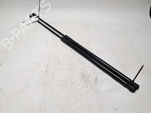 Gassdemper Bakluke FORD C-MAX II (DXA/CB7, DXA/CEU) 1.6 TDCi (115 hp) 31307729