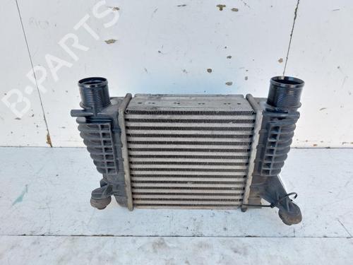 Used Intercooler Intercooler NISSAN JUKE (F15) 1.5 dCi (110 hp) 30802025 30802025
