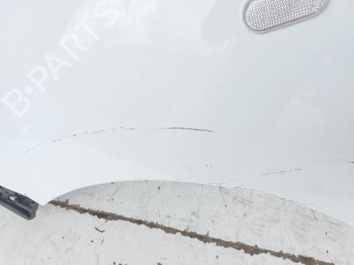 Left front fenders DACIA LODGY (JS_) 1.5 dCi | BP17655348C41 