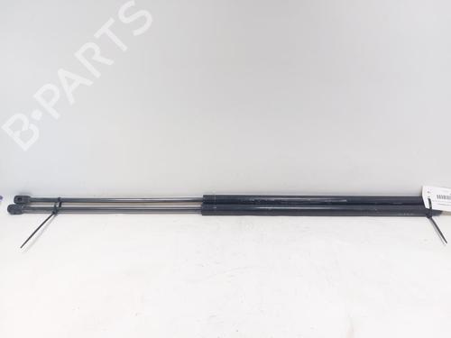 Used Tailgate lift support FIAT DOBLO MPV (119_, 223_) 1.9 JTD (105 hp) 29519503
