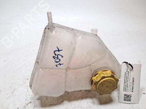 Ekpansionstank Ekpansionstank FORD FIESTA V (JH_, JD_) 1.25 16V (75 hp) 33613497 33613497