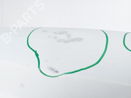 Right tailgate FIAT DOBLO Cargo (263_) 1.6 D Multijet (263WXD1B, 263WXR1B, 263WXX1B, 263ZXD1B,... | BP29238812C77 