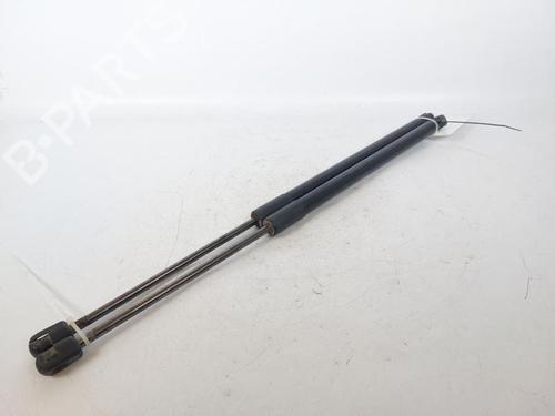 Tailgate lift support FORD FOCUS III 1.6 TDCi | BP15165801C138 