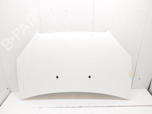 Used Hood FIAT DOBLO MPV (119_, 223_) 1.6 (92 hp) 30802812