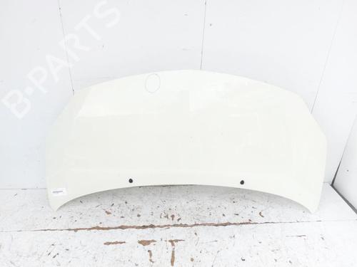 hood-renault-twingo-ii-cn0_-2007-27713251 main image