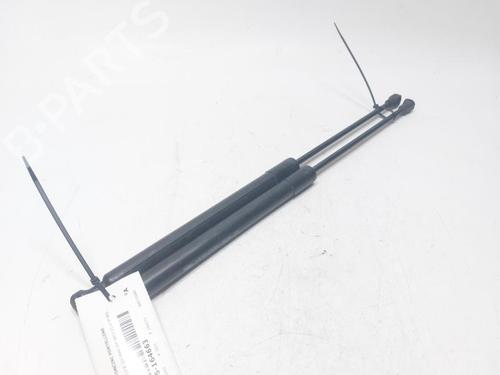 tailgate-lift-support-citroen-c3-ii-sc_-2009-30454554 main image