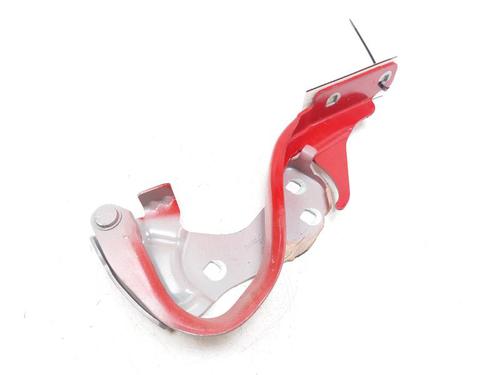 hingedoor-check-strap-fiat-500-312_-2007-24540811 main image