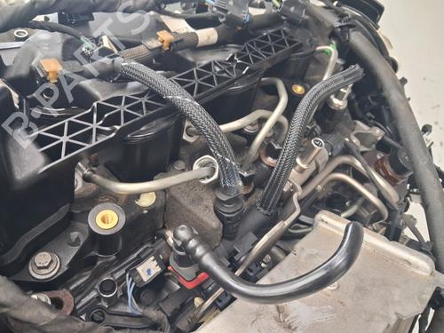 Engine FORD FOCUS IV Turnier (HP) 1.5 EcoBlue | BP37513530M1 - Image 6