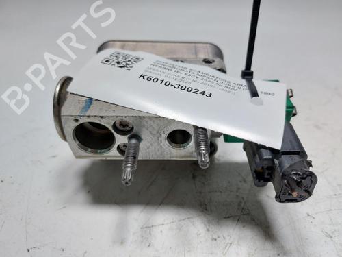 Other NISSAN JUKE (F16_) 1.6 Hybrid | BP30802679O1 