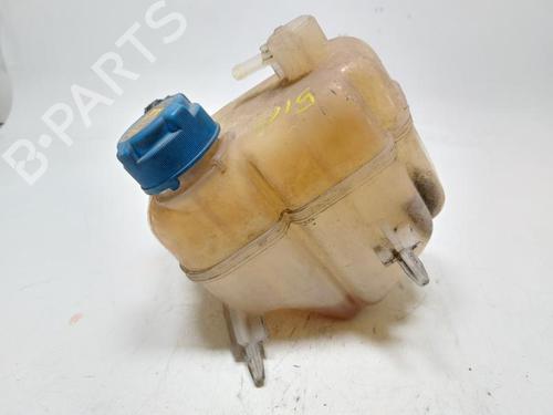 Ekspansjonstank LANCIA YPSILON (312_) 1.3 D Multijet (312.YXE1A, 312.YXU1A) | BP30802536C120 