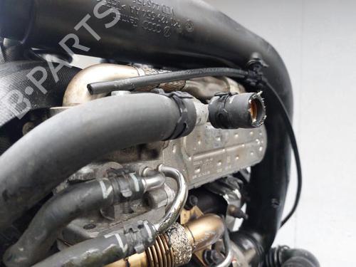 Engine SKODA OCTAVIA II Combi (1Z5) 1.9 TDI | BP31272890M1