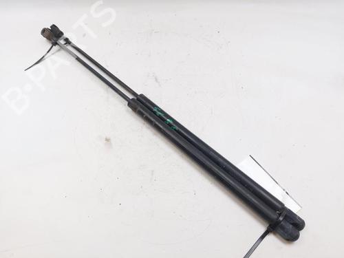 Tailgate lift support FIAT SEICENTO / 600 (187_) 1.1 (187AXB, 187AXB1A, 187AXC1A02) | BP29056237C138 