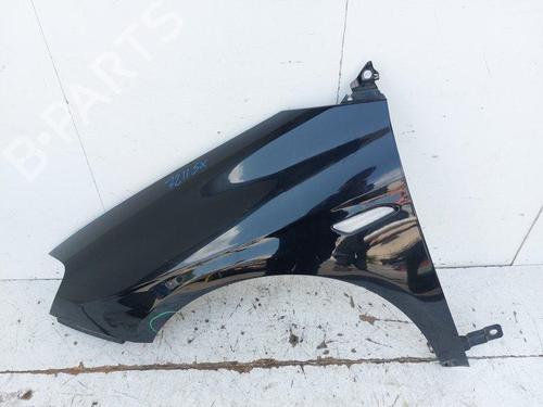 Guarda-lamas esquerdo Guarda-lamas esquerdo LANCIA DELTA III (844_) 1.6 D Multijet (844.AXC11, 844.AXC1A) (120 hp) 34119192 34119192