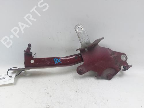 Dørhængsel/Dørbegrænser RENAULT SCÉNIC III (JZ0/1_) 1.6 dCi (JZ00, JZ12) (130 hp) 29526037
