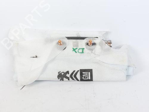 Right seat airbag CITROËN C3 III Van (SX_, SY_) BlueHDi 75 | BP15164835C14 