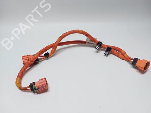 Used Wiring harness DACIA SPRING EV (B6M1) (45 hp) 30505553