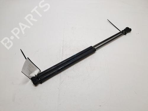 tailgate-lift-support-fiat-panda-169_-2003-39464991 main image