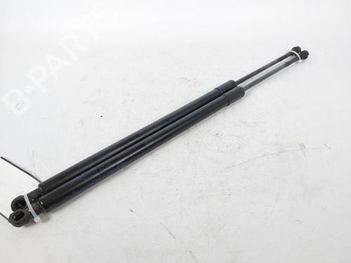 Used Tailgate lift support BMW X5 (E53) 3.0 d (218 hp) 15173219