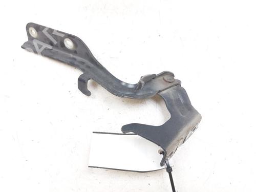 Hinge/Door check strap NISSAN JUKE (F15) 1.5 dCi | BP29390690C146 