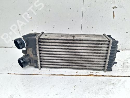 Used Intercooler Intercooler CITROËN BERLINGO / BERLINGO FIRST MPV (MF_, GJK_, GFK_) 1.6 HDI 90 (MF9HX) (90 hp) 39738735 39738735