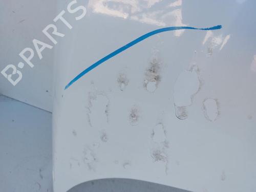 Hood FORD FIESTA VI (CB1, CCN) 1.0 | BP30898581C1