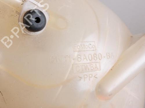 Expansion tank FORD FIESTA VII (HJ, HF) 1.5 TDCi | BP18089503C120 