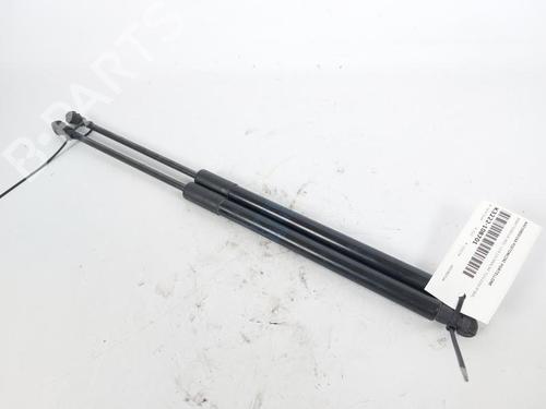 Gasdæmper bagklap SMART FORFOUR Hatchback (453) 1.0 (453.042, 453.043) (71 hp) 19081537