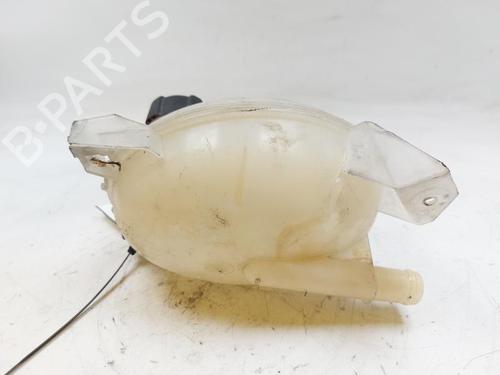 Expansion tank RENAULT CLIO IV (BH_) 1.2 TCe 120 (BHAU) | BP28349754C120