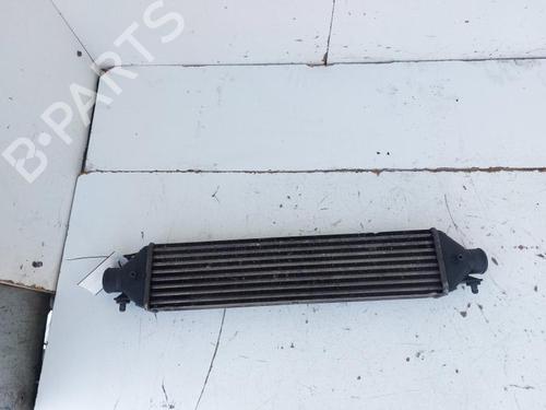 Used Intercooler FIAT DOBLO Cargo (263_) 2.0 D Multijet (135 hp) 33168233