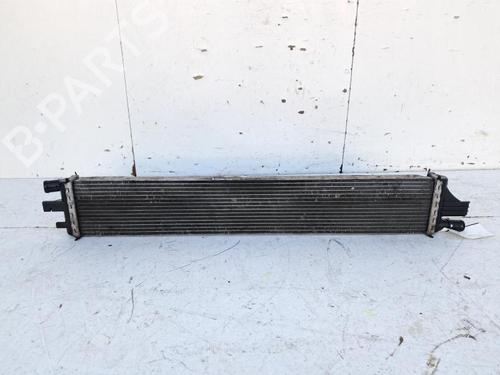 Used Water radiator Water radiator OPEL MOVANO B Bus (X62) 2.3 CDTI FWD (JV) (125 hp) 30898825 30898825