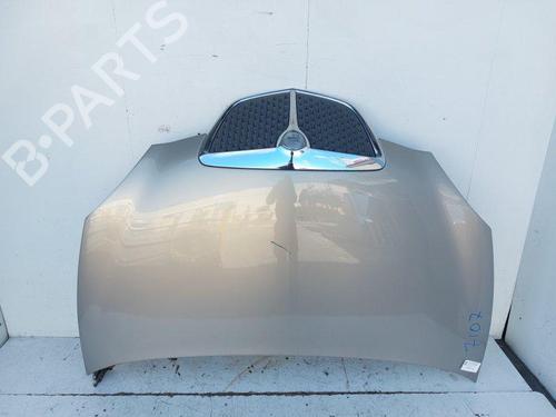 Used Hood Hood LANCIA YPSILON (843_) 1.2 (843.AXA1A) (60 hp) 33840252 33840252