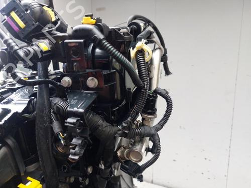 Engine FIAT PANDA (312_, 319_) 0.9 (312PXG1A) | BP35775596M1  - Image 6