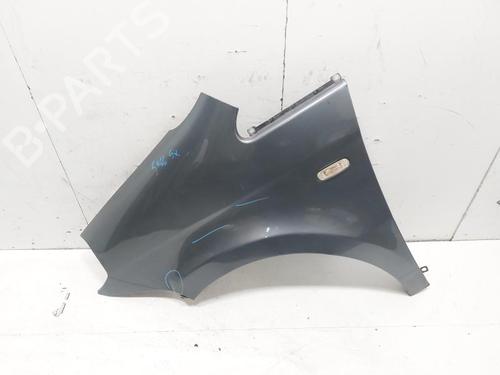 Used Left front fenders LANCIA MUSA (350_) 1.3 D Multijet (350.AXG11, 350.AXG1A) (90 hp) 30478550