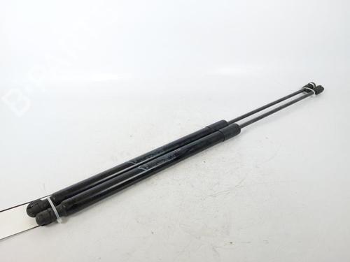 Used Tailgate lift support FIAT TIPO Estate (356_, 357_) 1.3 D (356WXH1A) (95 hp) 15171517