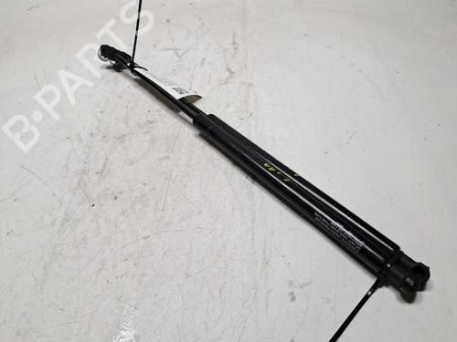 Used Tailgate lift support FIAT IDEA (350_) 1.3 D Multijet (70 hp) 31011297