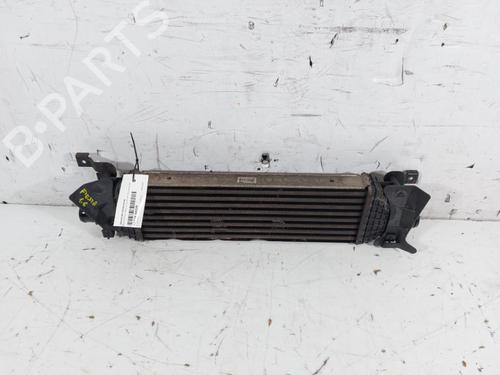 Used Intercooler FORD FIESTA V (JH_, JD_) 1.6 TDCi (90 hp) 15162241